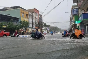 TP Tam Kỳ muốn tỉnh Quảng Nam 'rót' 100 tỉ để làm mương ngầm thoát nước