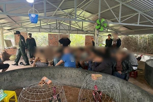 Hơn 40 người đứng quanh 2 con gà tháo chạy khi phát hiện công an