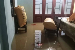 Quảng Nam mưa rất to, nhiều nơi ở vùng rốn lũ ngập sâu