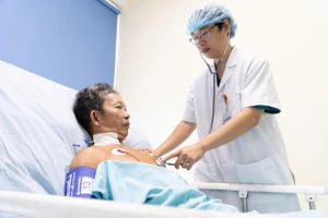 Cụ ông U70 bị ong vò vẽ đốt 30 mũi dẫn đến sốc phản vệ