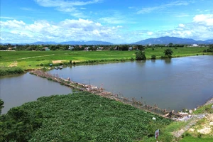 Điệp khúc đắp đập tạm rồi phá bỏ, ngốn hàng tỉ đồng ngân sách mỗi năm