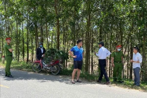 Lập biên bản người đàn ông Đà Nẵng chở lợn mắc bệnh đi tiêu thụ