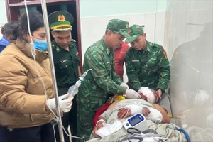 Người đàn ông ở Đà Nẵng bị gấu rừng tấn công