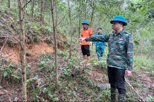 Xuất hiện vết nứt dài 100 mét trên núi, bên cạnh khu dân cư