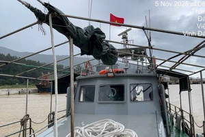 Biên phòng điều tàu vượt sóng cứu cụ bà 72 tuổi ở Cù Lao Chàm giữa bão Kalmaegi