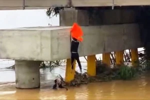 Khoảnh khắc nam thanh niên lao xuống sông cứu người 'đốn tim' cộng đồng mạng