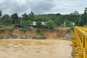 Người đàn ông mất tích bí ẩn khi đi từ bãi vàng ra đường chính