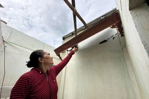 Sau lũ lịch sử, người dân Phú Yên cũ gắng gượng làm lại từ đầu