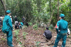 Nhóm người khai thác vàng trái phép.