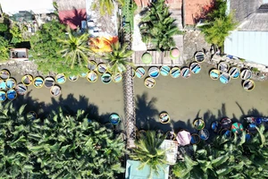 Hàng trăm thúng chai phục vụ du khách tham quan rừng dừa. Ảnh: TN