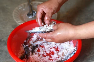 Món cá ủ chua truyền thống của người dân vùng cao TP Đà Nẵng. Ảnh: TN