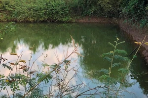 Uống rượu rồi nhảy xuống hồ, nam thanh niên đuối nước tử vong