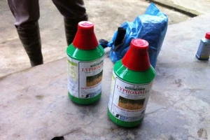 Khởi tố kẻ dùng súng ép người yêu tự tử trong nhà nghỉ