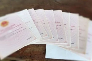 Đặt mua 19 sổ hồng giả mang đi thế chấp để vay tiền