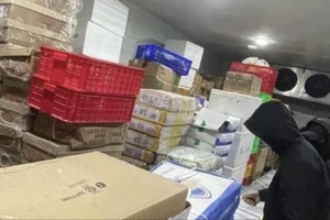 Hơn 2 tấn chân gà, giò heo trong kho đông lạnh dán nhãn chữ nước ngoài