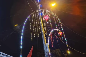 Dựng cây nêu đón Tết, người đàn ông bị điện giật tử vong