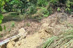 Đã khắc phục hậu quả vụ tổ chức thi hành án sai ở Đắk Nông