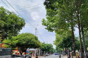 Bộ Công an đề nghị Đắk Lắk, Đắk Nông cung cấp hồ sơ liên quan đến Công ty TNHH Cây xanh Công Minh