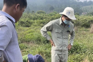 Chủ trại heo bị phạt gần 500 triệu vì xả nước thải bẩn ra môi trường