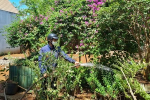 Người mua đất sau cùng vướng vào vụ kiện nhì nhằng, vì sao? 