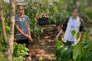 Nam thanh niên lén ghi hình khi quan hệ với bé gái 12 tuổi