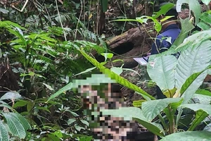 Hé lộ nhân thân của thi thể nữ giới ở đèo Phượng Hoàng