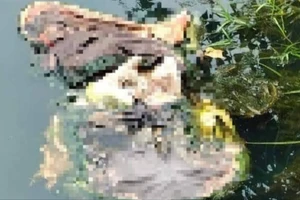 Xác định được danh tính thi thể bị phân hủy dưới hồ nước ở Đắk Nông