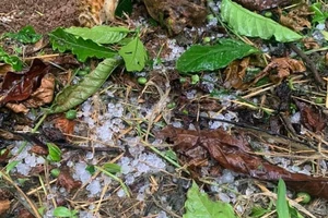 Mưa đá kèm giông lốc làm hư hỏng nhiều nhà cửa ở Đắk Nông