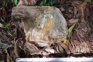 Bé gái tử vong ở nghĩa trang có chiếc áo hình thú và chữ 'Sleep'