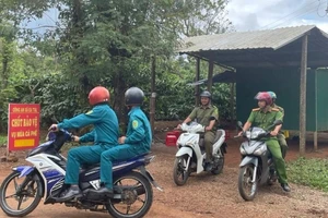Giá cà phê tăng cao, công an lập chốt tuần tra xuyên đêm trên nương rẫy
