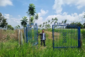 Thuê người cắt phá cây cà phê, người đàn ông bị phạt tù