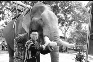 Đàn voi quỳ gối tiễn biệt người có nhiều voi nhất Đắk Lắk