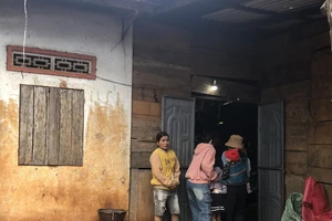 Anh tử vong, em nhập viện vì ăn thịt cóc 