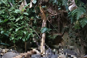 Đi bắt cá, tá hỏa khi gặp bộ xương người dưới suối