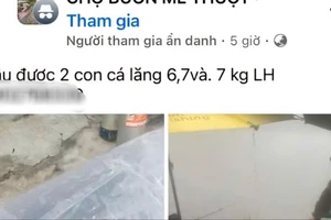 Dân mạng phê phán người đi ô tô nhặt cá của người khác rồi rao bán