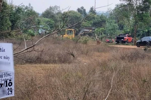 Xã Ea Drơng sốt đất: Khuyến cáo người dân, cấm cán bộ môi giới mua bán đất