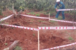 Phát hiện ngôi mộ có nhiều di vật gần núi lửa