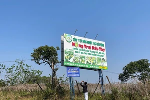 Chủ tịch xã báo cáo về vụ 'khai tử' hộ kinh doanh đang hoạt động