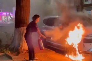 Ô tô đỗ bên đường ở Buôn Ma Thuột bốc cháy 