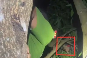 Bé trai ngủ quên trên cây xoài khiến nhiều người đi tìm trong đêm