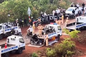 Đi săn mây nhưng vi phạm luật giao thông, nhiều người bị xử lý