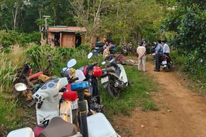 Hai anh em ruột tử vong trong ao nước tưới cà phê ở Đắk Nông