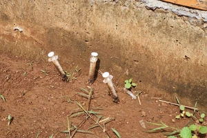 Kim tiêm, rác thải vứt đầy dự án hạ tầng ở Buôn Ma Thuột