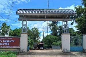 Bảo vệ và phó giám đốc công ty lâm nghiệp bị hành hung khi ngăn lấn đất rừng