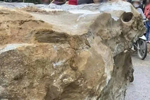 Cháu bé 2 tuổi bị đá trên đồi rơi trúng, tử vong