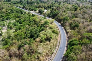 Đắk Lắk xúc tiến làm cao tốc Đông-Tây nối rừng và biển