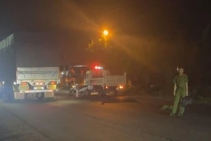 Tài xế xe tải rời khỏi hiện trường sau khi tông 2 người thương vong