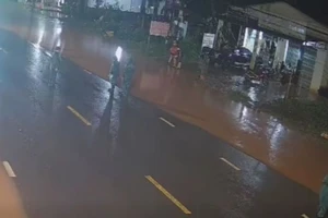 Chủ tịch xã bị ô tô tông tử vong: Tỉnh yêu cầu Sở Nội vụ và xã báo cáo sự việc 