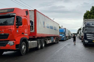 Gần 200 container chở nông sản tập kết trái phép tại cụm công nghiệp Tân An