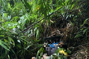 Người đàn ông tử vong trong rừng, xung quanh có dấu chân nghi của voi